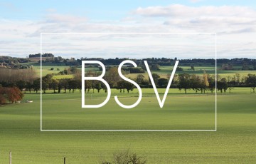 BSV Aquitaine : état des cultures, maladies, ravageurs, adventices