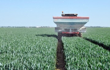 Stratégies de fertilisation du blé tendre : fractionner les apports