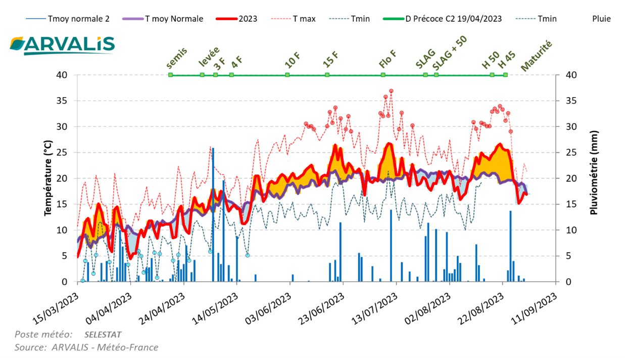 Figure 1 : Visualisation des conditions climatiques au cours du cycle du maïs, maïs semé le 19 avril 2022, variété demi-précoce à demi-tardive (G3), poste météo de Sélestat (67).