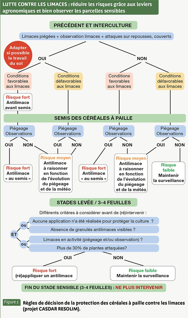 Figure 2 : Grille de risque limaces