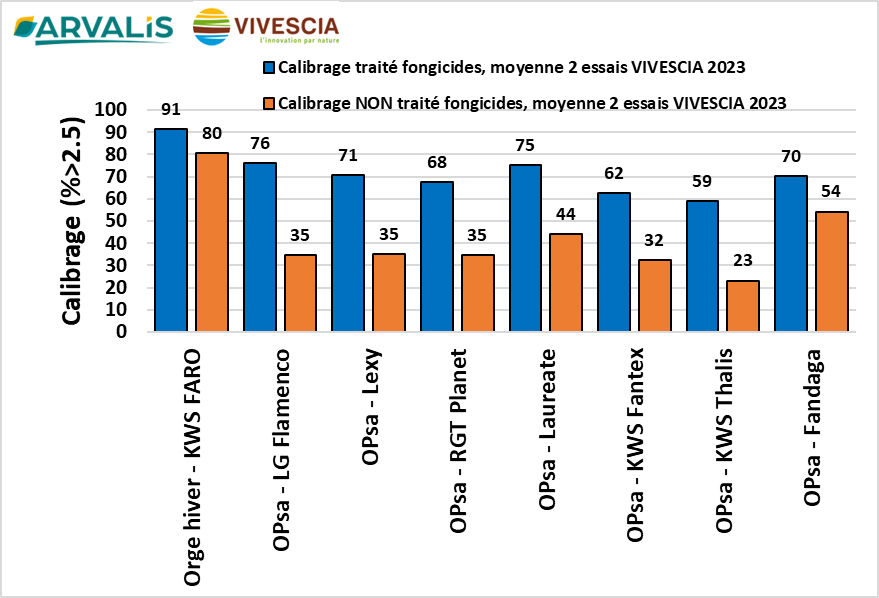 Figure 3 : Calibrage (en % de grains > 2,5 mm) des orges de printemps semées à l’automne – 2 essais Vivescia 2023