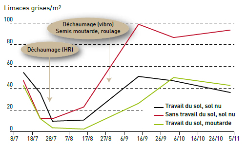 Figure 3 : Impact du travail du sol sur les limaces grises