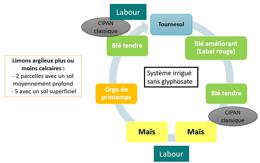 Figure 1 : Rotation mise en place depuis 2021 sur le dispositif CAP du Futur de Boigneville (91)