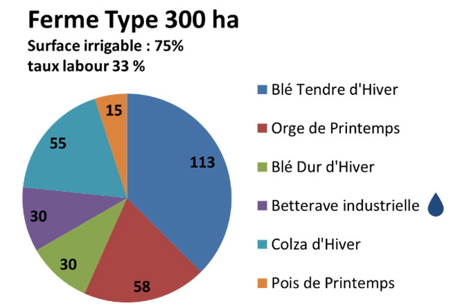 Figure 3 : Assolement d’une ferme-type de 300 ha et 1,5 UTH, représentative du secteur de Boigneville (91)