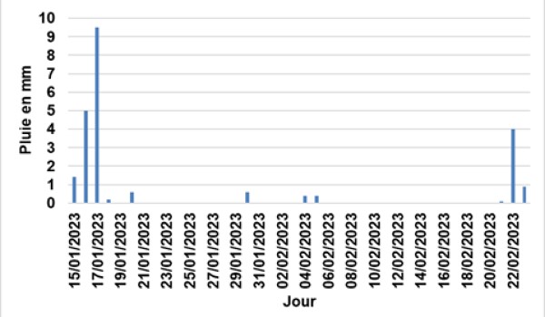 pluviométrie à Dijon janvier et février 2023