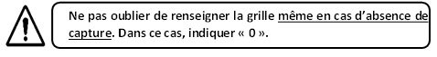 formule