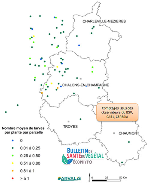 Carte 1 : Comptage de larves de pyrale dans les parcelles de maïs