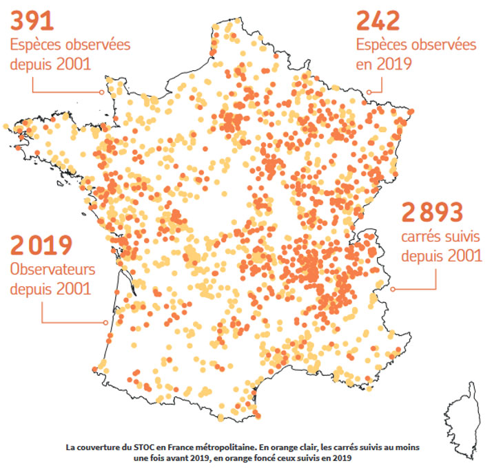 Carte 1 : Couverture du territoire des suivis d’oiseaux communs réalisés en France depuis 2001 (tiré du rapport « Suivi des oiseaux communs en France 1989-2019 : 30 ans de suivis participatifs » de B. Fontaine et collaborateurs)