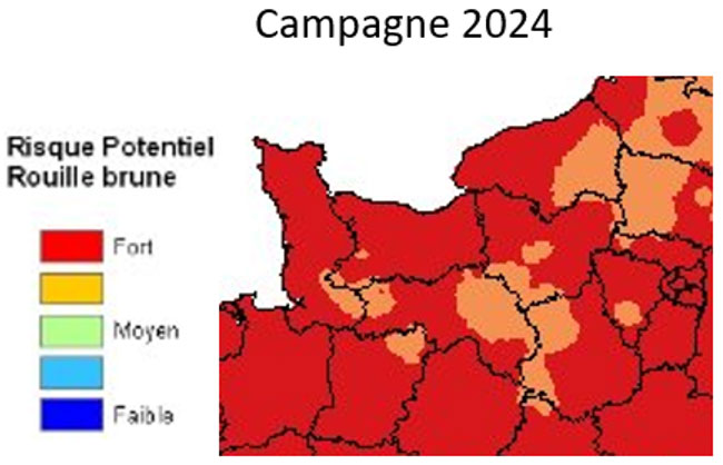 Carte 6  : Risque potentiel de rouille brune sur la base des sommes de températures moyennes base 0 du 1er novembre 2023 au 31 mars 204 - au 26 mars 2024 – précocité et date de semis : normales départementales