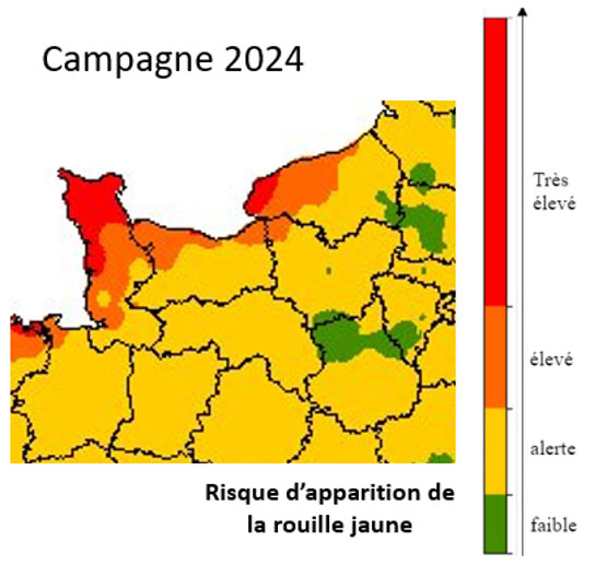 Carte 7  : Risque rouille jaune estimé par le modèle Crusty_3 du 1er au 7 avril  2024 pour une variété sensible (4) - au 26 mars 2024 – précocité et date de semis : normales départementales