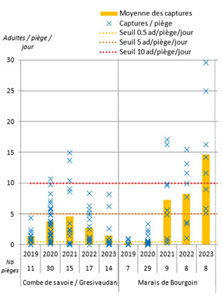 Figure 1 : Evolution des captures de chrysomèles sur pièges chromatiques depuis 2019 dans les secteurs "Combe de Savoie/Grésivaudan" et "Marais de Bourgoin"