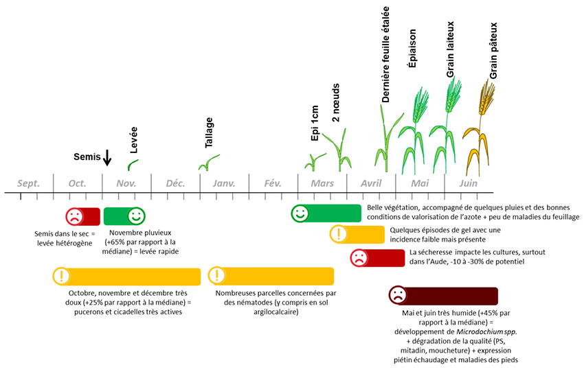Figure 1 : Points clés de la campagne de blé dur 2022/2023
