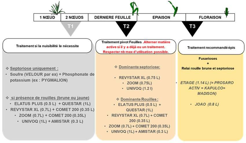 Figure 1 : Exemple de programme fongicide (liste des spécialités non exhaustive) avec des produits non CMR