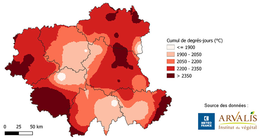 Cumul de degrés-jours (en base 6-30°C) sur la période du 15 avril au 15 octobre 2022