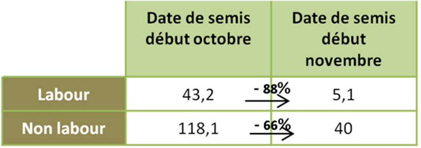 Figure 1 : Impact de la date de semis sur le nombre d’adventices/m² en sortie hiver dans le blé tendre en absence de désherbage (essai ARVALIS, Epieds (27), 2014)