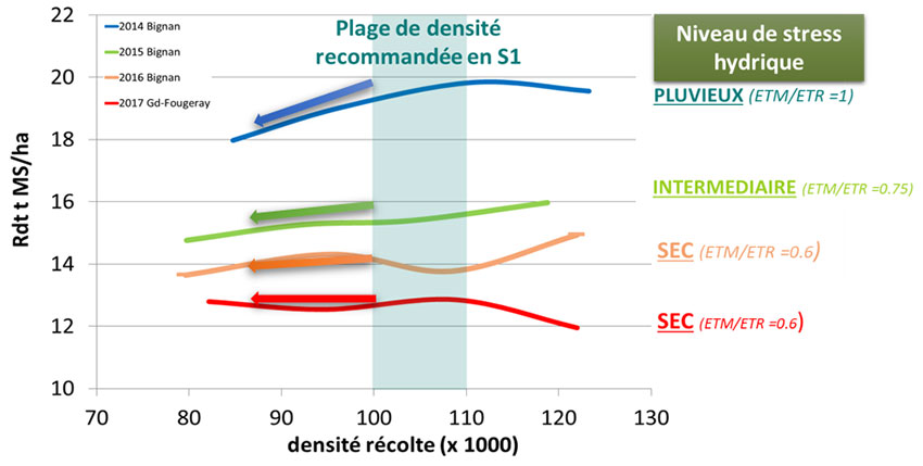 Figure 2 : Réponse de la densité de semis sur le rendement en fonction du niveau de stress hydrique du maïs fourrage – Essais ARVALIS avec une variété S1 en Bretagne de 2014 à 2017