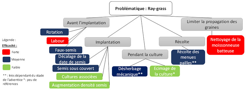 Figure 1 : Efficacité de différents leviers agronomiques mobilisables pour gérer le ray-grass