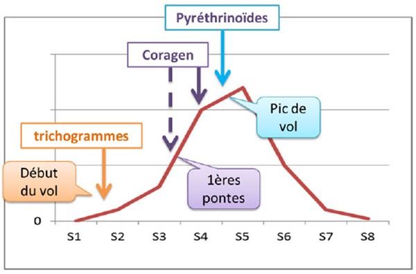Figure 1 : Stratégie de lutte contre la pyrale du maïs