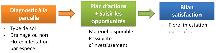 Figure 1 : Les différentes étapes pour un désherbage satisfaisant