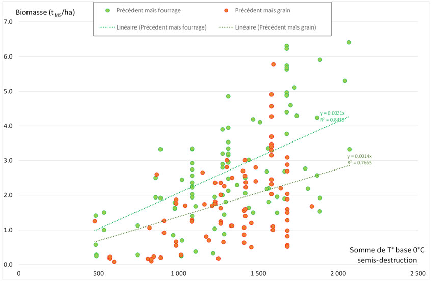 Figure 1 : Biomasse des couverts implantés après la récolte d’un maïs fourrage ou d’un maïs grain, selon les sommes de température, base 0°C, entre le semis du couvert et la date de mesure de la biomasse