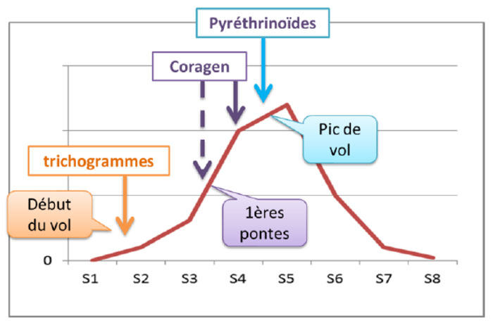 Figure 1 : Stratégie de lutte contre la pyrale du maïs