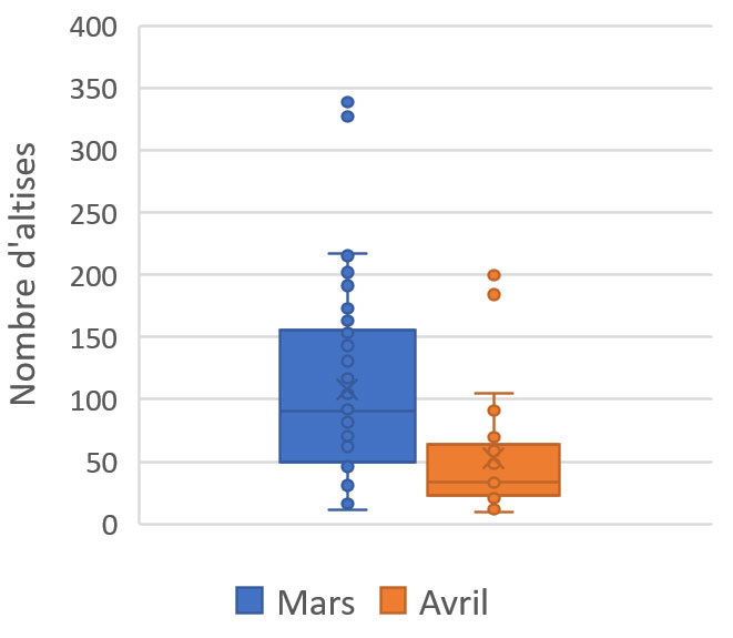 Figure 3 : Abondance des altises en fonction du mois de semis (2021-2022)
