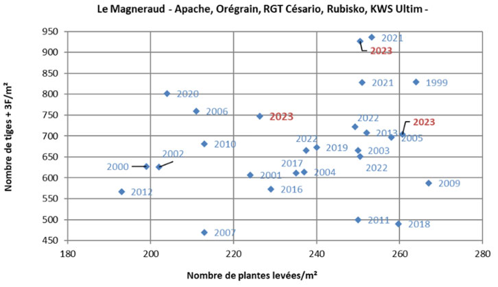 Figure 1 : Comptage réalisés au Magneraud (17) en blé tendre