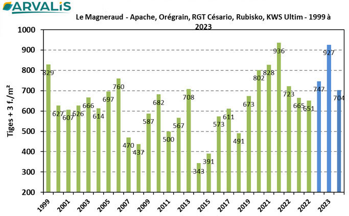 Figure 1 : Nombre de tiges à plus de 3 feuilles à épi 1 cm en pluriannuel sur le site de la Station ARVALIS du Magneraud (17) en groies