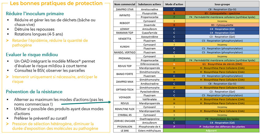 Tableau 1 : Spécialités commerciales antimildiou disponibles en 2023