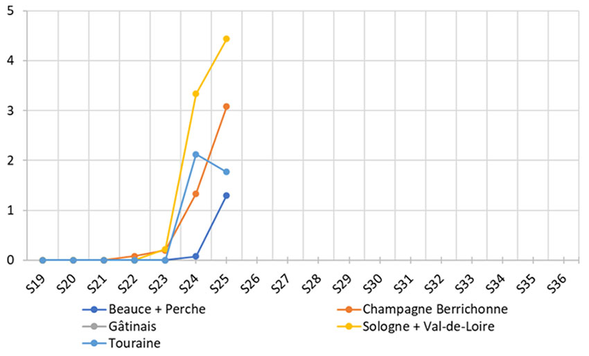 Figure 1 : Evolution du nombre moyen de pyrales piégées par secteur