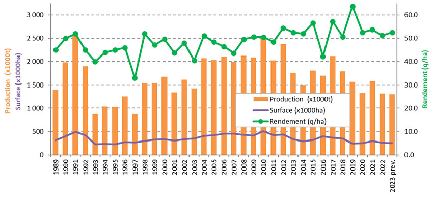 Figure 2 : Evolution des surfaces, du rendement moyen et de la production de blé dur en France