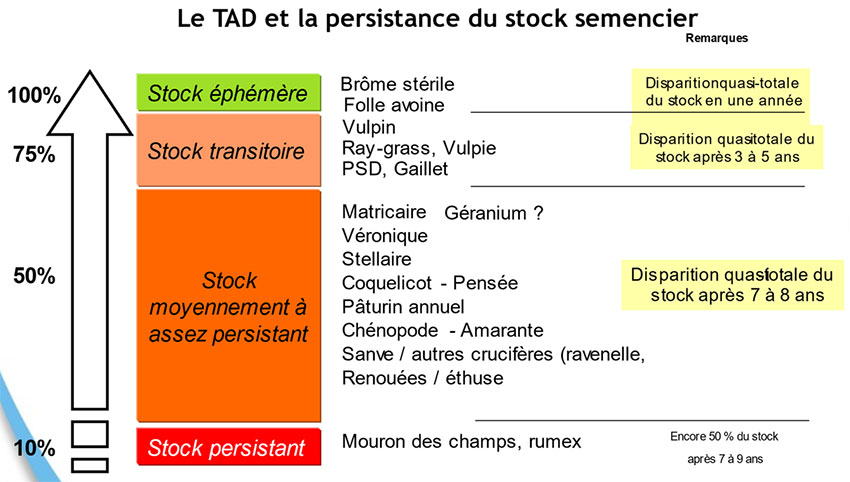 pourcentage de graines d’adventices qui perdent leur aptitude à germer au bout d’un an en fonction des espèces