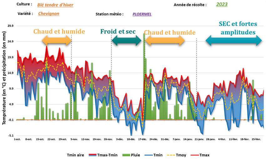 Figure 2 : Evolution des températures et des pluies entre le 1er octobre 2022 et le 25 février 2023 – station météo de Ploërmel (56)