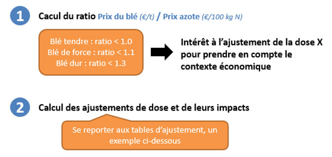 Figure 2 : Calcul du ratio prix du blé / prix de l’azote pour évaluer l’intérêt à l’ajustement de la dose