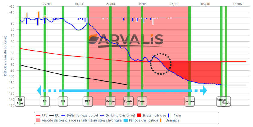 Figure 3 : Bilan hydrique issu du modèle IrréLis®, avec la variété RGT Cesario, semée au 20 octobre 2022, secteur Aunis, en groie moyenne (RU = 115 mm) dans laquelle la plante est entrée en stress hydrique au mi-mai