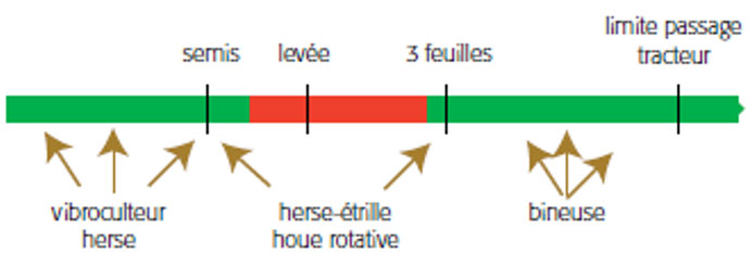 Figure 2 : Positionnement des interventions mécaniques en fonction des stades du sorgho