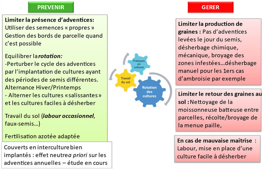 Figure 2 : Combiner les techniques les plus efficaces et les plus adaptées à la situation pour une gestion durable des adventices