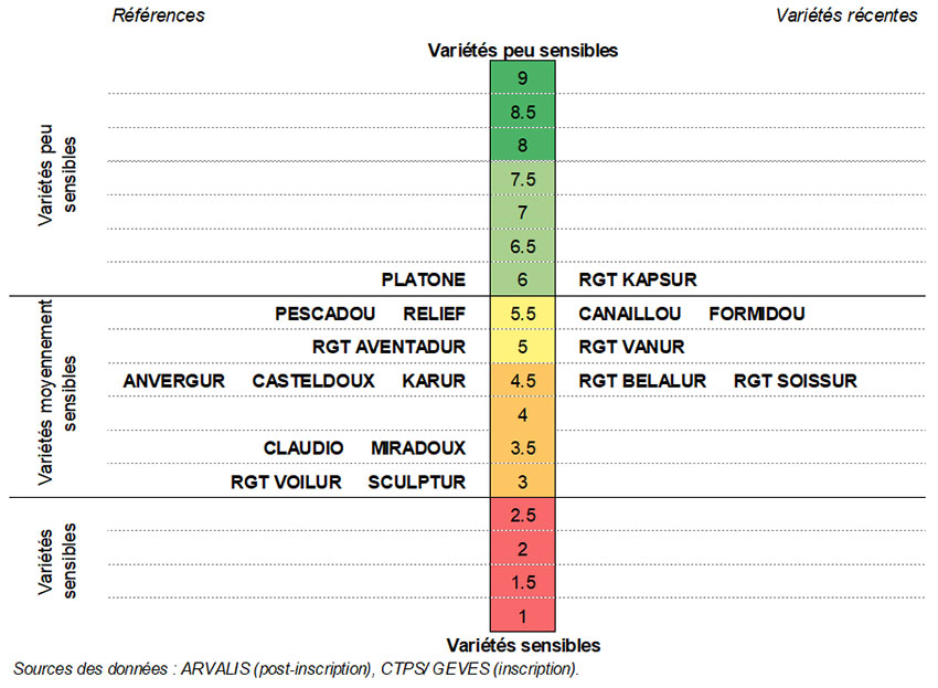 Figure 3 : Classement des variétés par rapport aux mycotoxines DON – synthèse nationale pluriannuelle (2005-2022)
