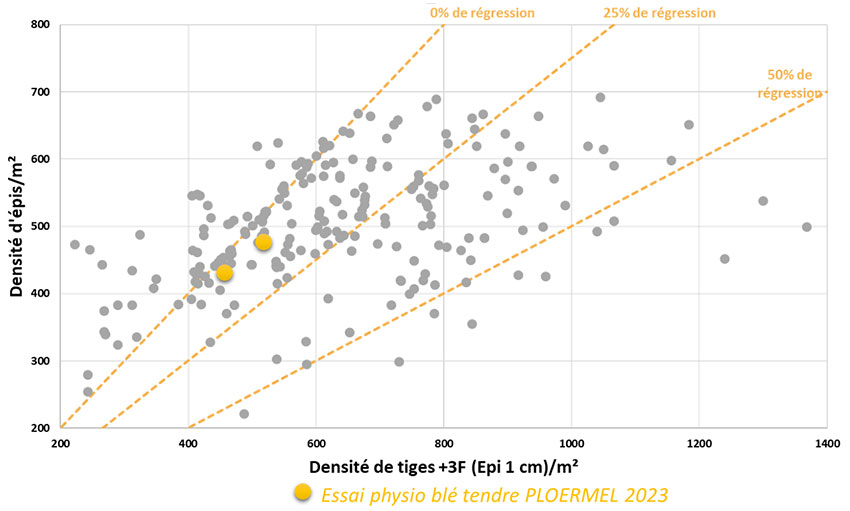 Figure 3 : Densité de tiges à plus de 3 feuilles au stade épi 1 cm en fonction de la densité d’épis/m² sur blé tendre - Essais ARVALIS