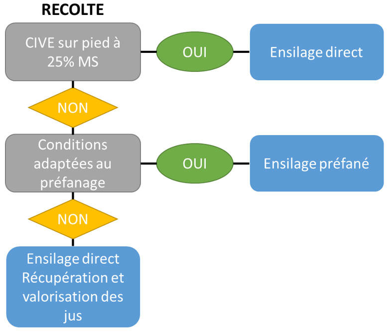 Figure 3 : Eléments de décision pour les pratiques de gestion des jus d’ensilage de CIVE