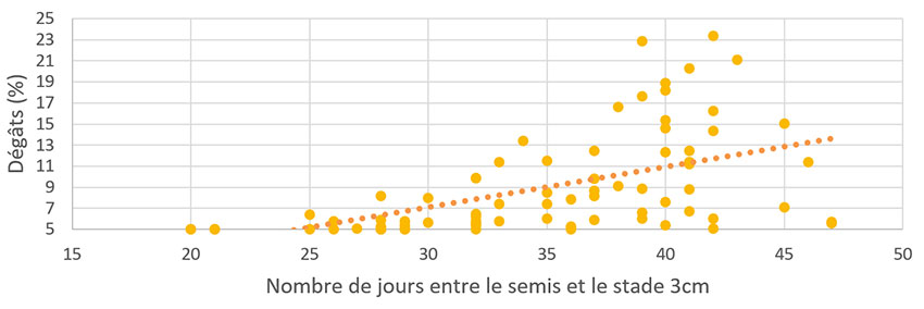 Figure 1 : Dégâts d’altises en fonction de la vitesse de croissance du lin (2021-2022)