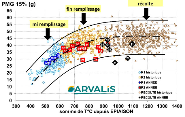 Figure 6 : Dynamique de remplissage des blés sur le réseau régional ARVALIS