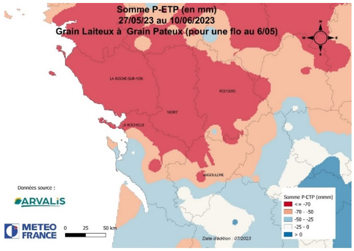 Figure 6 : Bilan hydrique (P-ETP) durant la période de remplissage du blé