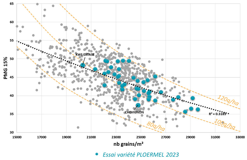 Figure 7 : Nombre de grains/m² en fonction du PMG à 15% d’humidité à la récolte - Essais ARVALIS