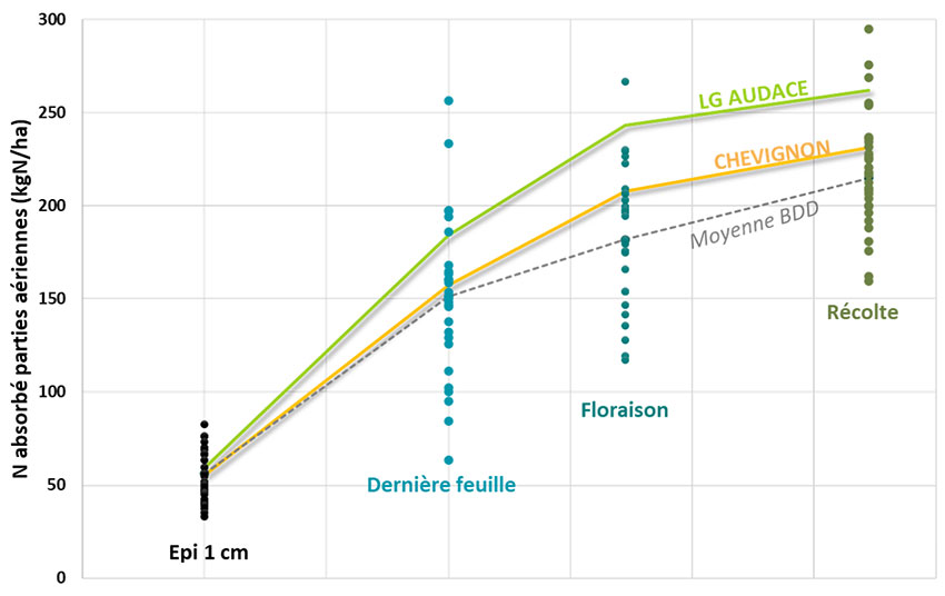 Figure 9 : Quantité d’azote absorbée en kg/ha à différents stades sur blé tendre - Essais ARVALIS