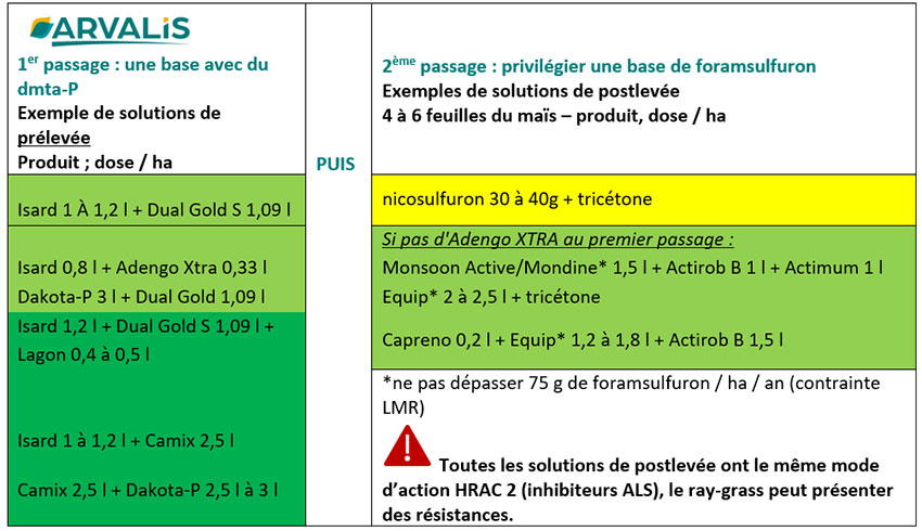Tableau 1 : Exemple de solutions pour lutter contre le ray-grass en programme : 2 passages : pré + postlevée précoce