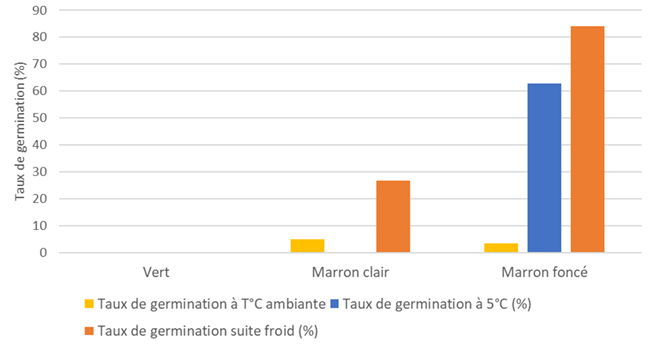 Figure 2 : Taux de germination de graines de folle-avoine en fonction de leur couleur à 5°C ou à température ambiante après un passage au froid – Conditions contrôlées en boîtes de Pétri (Obscurité/KNO3) – Échantillons 2022