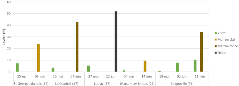 Figure 3 : Levées de folle-avoine en fonction de la date de prélèvement– Conditions semi-contrôlées en pots – Moyenne des semis en surface et à 3 cm - Échantillons 2021-2022