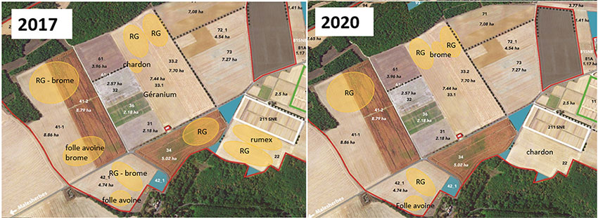 Figure 5 : Evolution des foyers d’infestations de mauvaises herbes du dispositif Cap du Futur de Boigneville entre 2017 (à gauche) et 2020 (à droite)