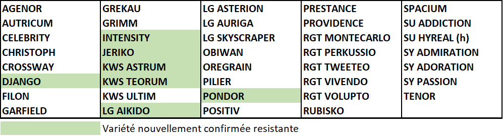 Tableau 4 : Liste des variétés résistantes aux cécidomyies ORANGE